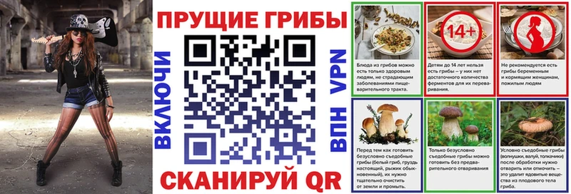 Галлюциногенные грибы MAGIC MUSHROOMS  купить наркотик  Камень-на-Оби 