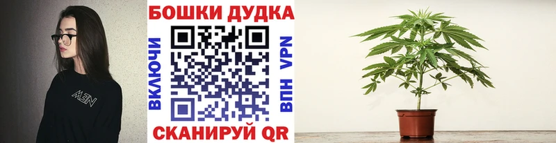 Бошки марихуана марихуана  где найти   Камень-на-Оби 